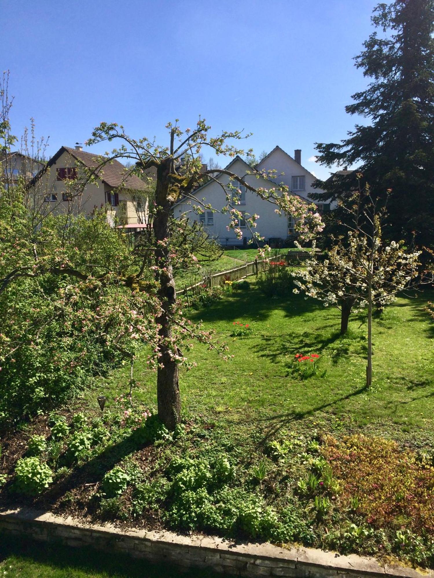 Guntli'S Family Guesthouse Andelfingen エクステリア 写真