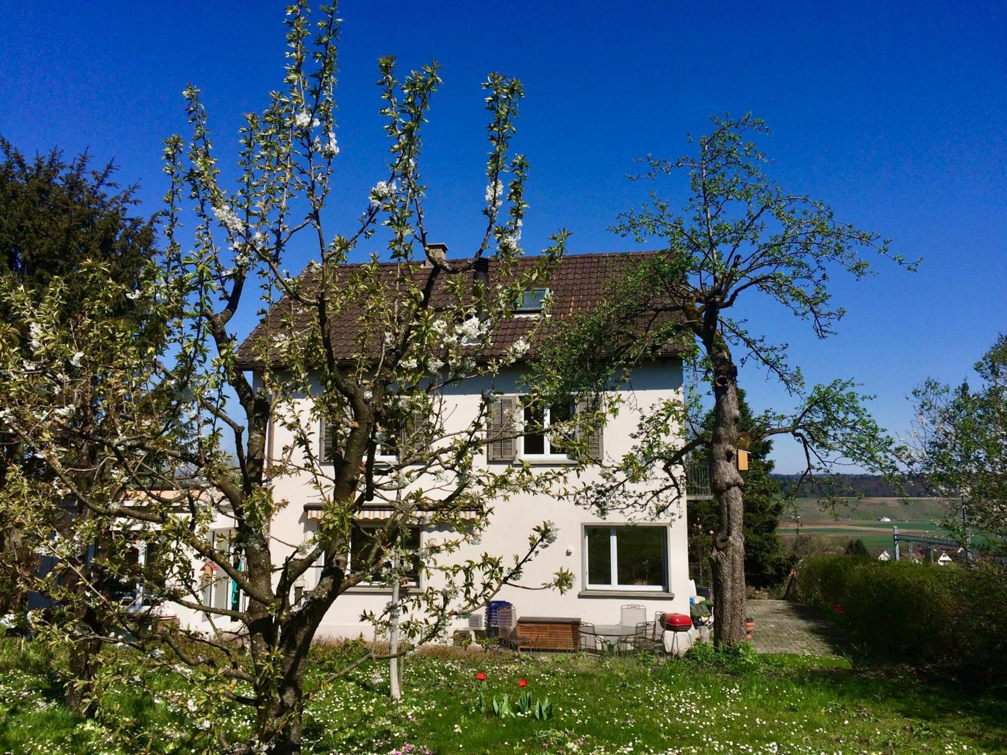 Guntli'S Family Guesthouse Andelfingen エクステリア 写真
